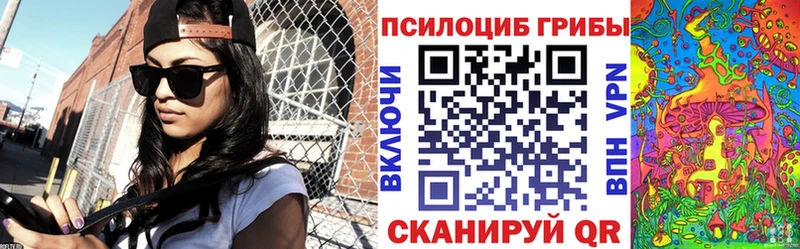 где купить   Шелехов  Псилоцибиновые грибы Cubensis 